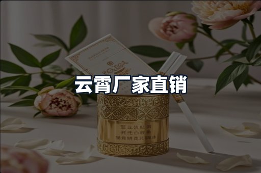 云霄厂家直销